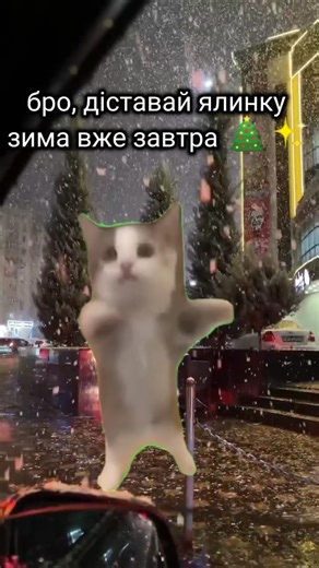 вибачте, що мене так довго не було на каналі.#christmas #підпишись #cat #відеодня #крінж #mem