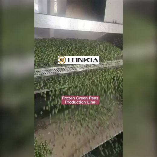 Frozen Fruit and Vegetable Production Line Machine IQF Fruits Vegetables Green Beans Processing Plant Freezing Machinery