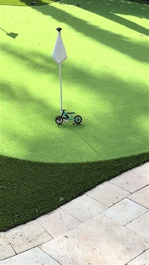 Explore the Cleanest P-51 Ace Model