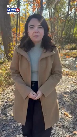 46K views · 242 reactions | Two people were miraculously OK when their car drove off a cliff and fell 50 feet and landed upside-down into the Buffalo Creek in West Seneca on Sunday afternoon. Sarah Minkewicz talked to the first responders who rescued the pair. | News 4 WIVB Buffalo | Facebook