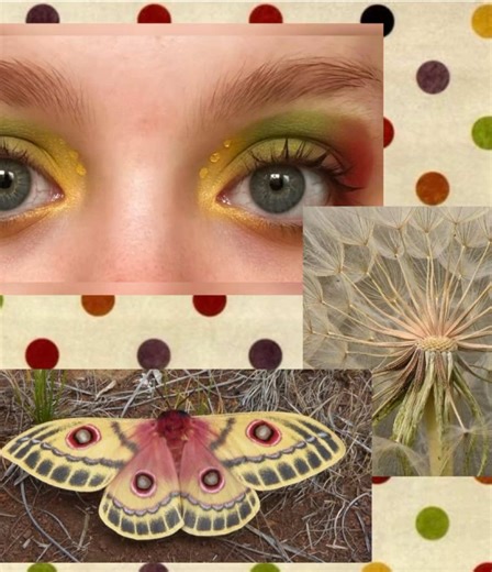 Create a Colorful 70s Disco Moodboard on Pinterest