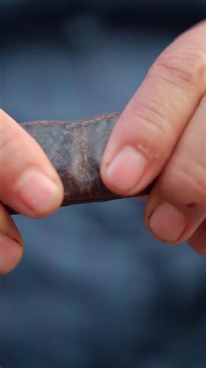 83K views · 2.2K reactions | In this captivating video, we explore...