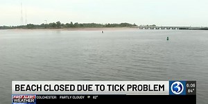 Bridgeport beach closed this summer due to invasive tick species, officials say
