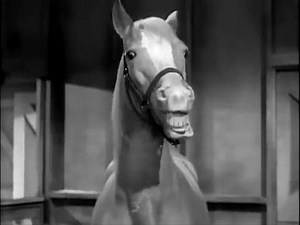 ▶️ Mister Ed - Mister Ed: Season Three
