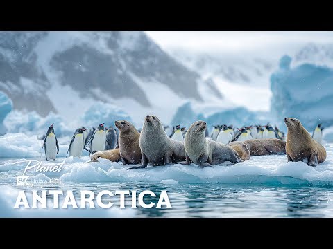 UNSEEN ANTARCTICA – The Hidden World at the Edge of Survival