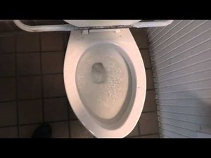 Bathroom Tour: American Standard Toilet with interesting seat Natural Bridge Park Virginia