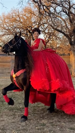 Princess Jewels on Instagram: "Chulo el caballo para bailar ❤️ New Dress Arrival 👗 Ranch/ Horse: @fgsranch_quince_photoshoot Hair and Makeup : @beautymuse_ Model: @valehdz244 Dress: @princessjewelsllc Princess Jewels 4800 S Hulen St Suite 2195 Fort Worth TX 76132 ☎️682-224-3567 #xv #quinceañera #quince #fyp #fypシ #valentines #valentinesday❤️ #insta #instagram #red #reddress #caballo #caballosbailadores"