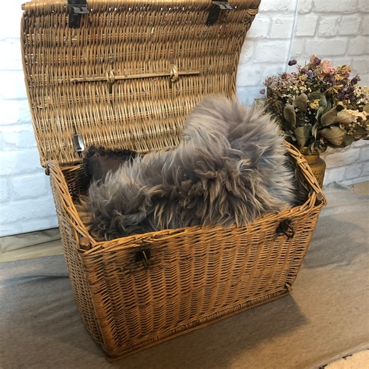 Wicker Chest | Willow Basket With Lid for Stylish Decoration and Storage - Etsy