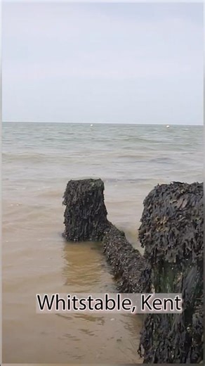 Peaceful Seaside Moments-Whitstable, Kents