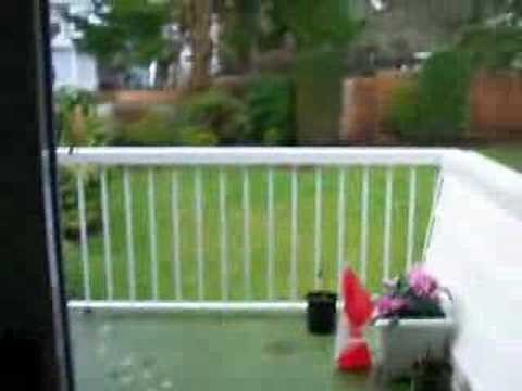 Noisy House 50 decibel noise