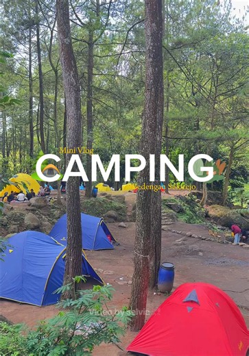 Rekomendasi liburan minim budget 😍 📌 bedengan dau malang , wajib cobain camping disini 🥰 #campingmalang #bedengan #bedenganmalang #camping #campground