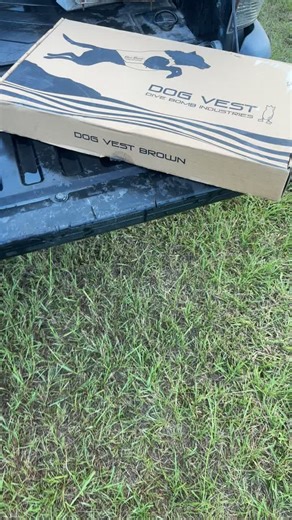 We ready now baw @Dive Bomb Industries @GUNNER #divebombindustries #gunnerkennels #duckhunting #lab #huntingtiktok #duckdog