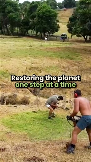 4.5K views | Every step we take towards natural movement leaves a footprint of positive change.  Through our partnership with Reforest Now, we’re not just transforming human health - we’re helping rebuild the Earth’s natural foundation. We donate 1% from every order to ReForest Now to plant a tree and regenerate rainforests in Australia and around the world. #reforestnow #thefootcollective #footprint #regenerate #donate #nature | The Foot Collective | Facebook