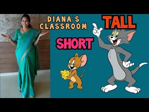 Cbse Lkg maths / Tall and Short / kindergarten maths concept /Diana's Classroom.