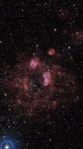 Zooming into LHA 120-N11