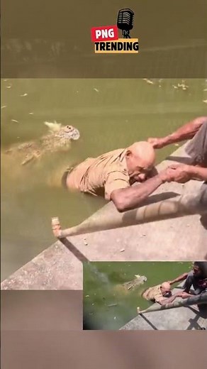 HORRIFIC CROCODILE ATTACK AT 14 MILE! 😱 Keeper Attacked by His Own Crocodile #pngnews #pngpolitics