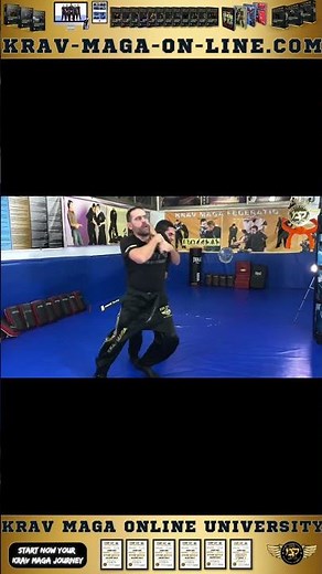 Krav Maga Online Orange Belt Program