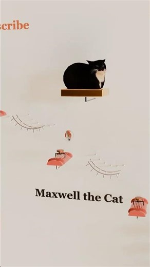 Sprunki Cover | Maxwell Cat Meme on Cool Instruments