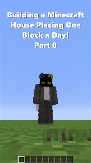 Building a Minecraft House Placing One Block a Day! Part 0