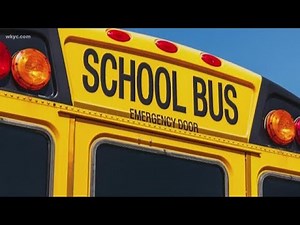 Why is a school bus yellow? Here's the reason...