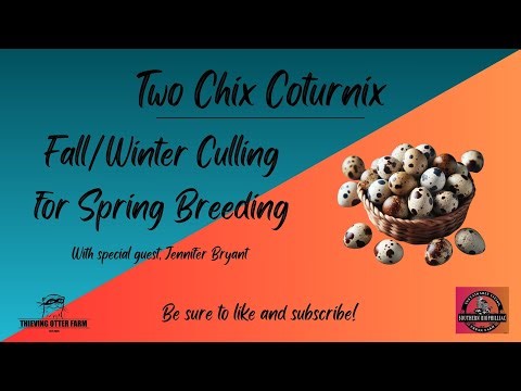 Fall/Winter Culling for Spring breeding!