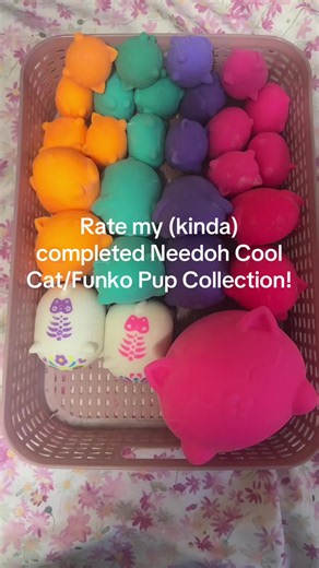 Needoh Cool Cat Collection Review — Rate My Pink Cats