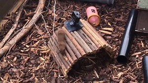 6.8K views · 149 reactions | This #WildlifeWednesday we're caring for little Steasel the weasel at our National Wildlife Rescue Centre.  We think Steasel was separated from his mum or even dropped by a predator before being spotted by a member of the public. ➡️www.scottishspca.org/newsroom/latest-news/were-caring-for-steasel-the-weasel-at-our-wildlife-centre/ | Scottish SPCA | Facebook