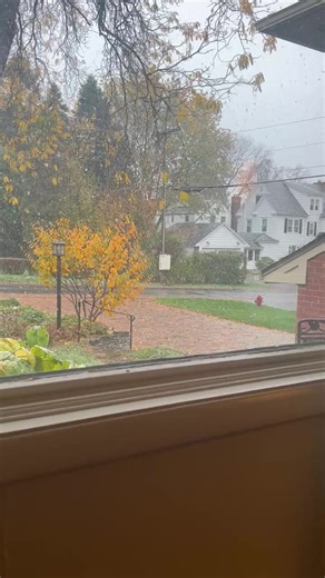 November 1 in Syracuse. Snow is right on time. | Cathedral of the Immaculate Conception