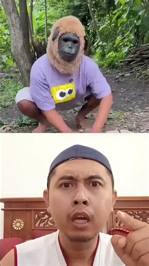 ada monyet perusak #trendingshorts #comedy #funny #lucu #food