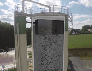 Biological Wastewater