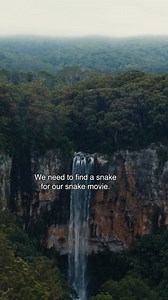 🐍 Danger lurks in the jungle. Anaconda starring Paul Rudd & Jack Black is now showing at ODEON. | ODEON Cinemas