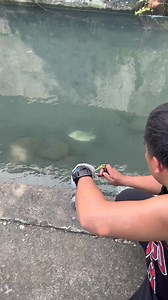 Clear water clear catch | Jacovtv