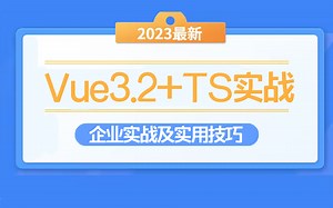 Vue3.2 TS开发企业实战及实用技巧 | 2024全新 快速上手实战（Vue3.2/安装/项目实战/零基础/前端开发）S0088