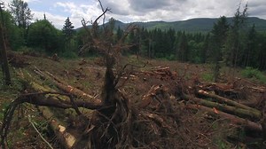 🔥⚡Auch für die Umwelt. Vitovalor: Wärme und Strom effizient vereint. 😉 | Viessmann