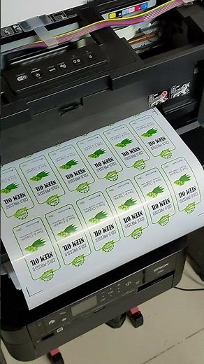 Vinyl Sticker Roll Printing with Desktop Printer Epson L1800 / L1300