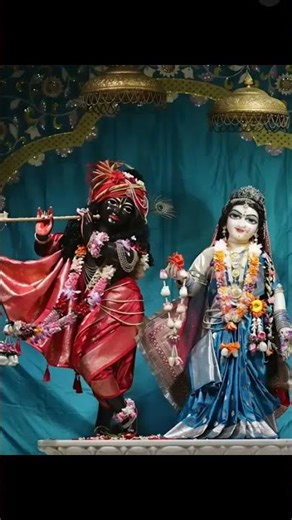 Vasudev Krishna-m2p New shorts #shorts #shortsfeed