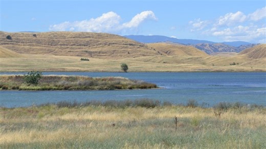 California issues draft conditional approval for key Sites Reservoir water right