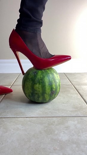 Steppingland on TikTok