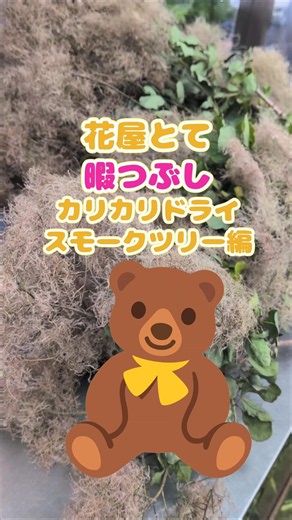 スモークツリーのドライフラワーで作るぞー🧸 #花屋 #ドライフラワー