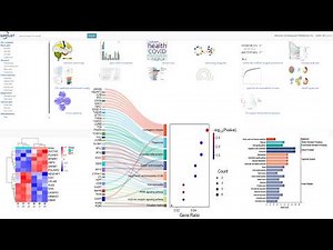 Create figures for high-impact-factor journals Without Coding (FREE Web Tool SRplot Tutorial)
