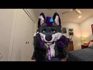 Watch This Wolf Be The Goodest Boy Ever!