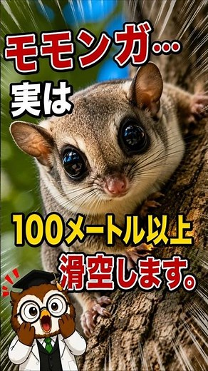 Flying squirrels can actually glide for over 100 meters. [Amazing gliding membrane]