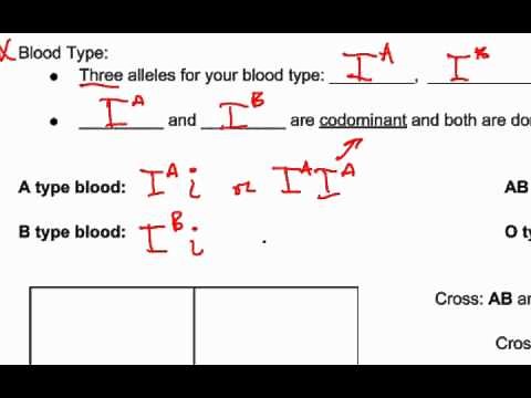 8.6 Codominance and Multiple Alleles