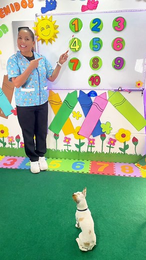 2M views · 23K reactions | Los números del 1 al 5  | Tía Tully | Facebook