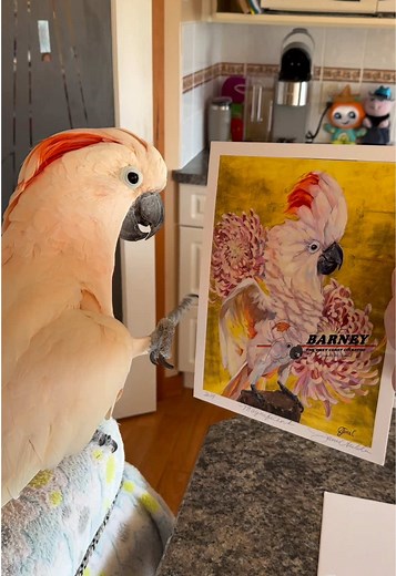 Beautiful Painting by Jami Childers Featuring Barney