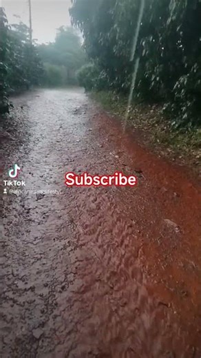 Cosy Rainy Day in Our African Village | African Wilderness Cooking #africanvillagelife #nature #cook