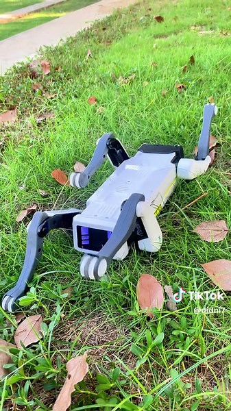 Cool Remote-Controlled Robot Dog for Kids