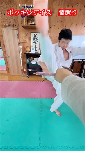[Martial Arts] Can I break a twin popsicle with a knee strike without using my hands now!? I trie...