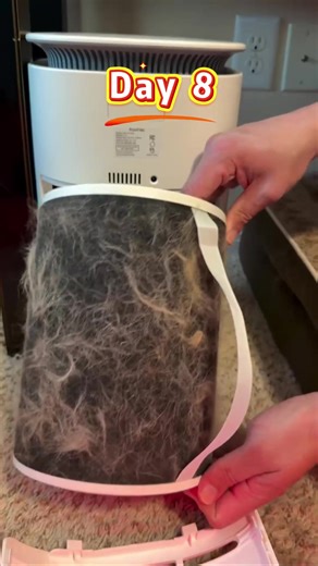 Air Purifier pre-filter changes! Obviously, it is getting dirtier and dirtier🫣🤮 #airpurifier #airfilter #pethair #cleanhome #fyp