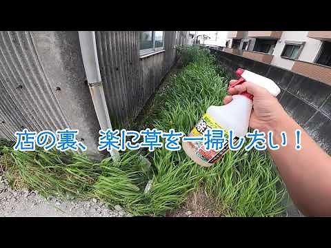 除草剤の効果に釘付けの１週間、草っｗｗ！！